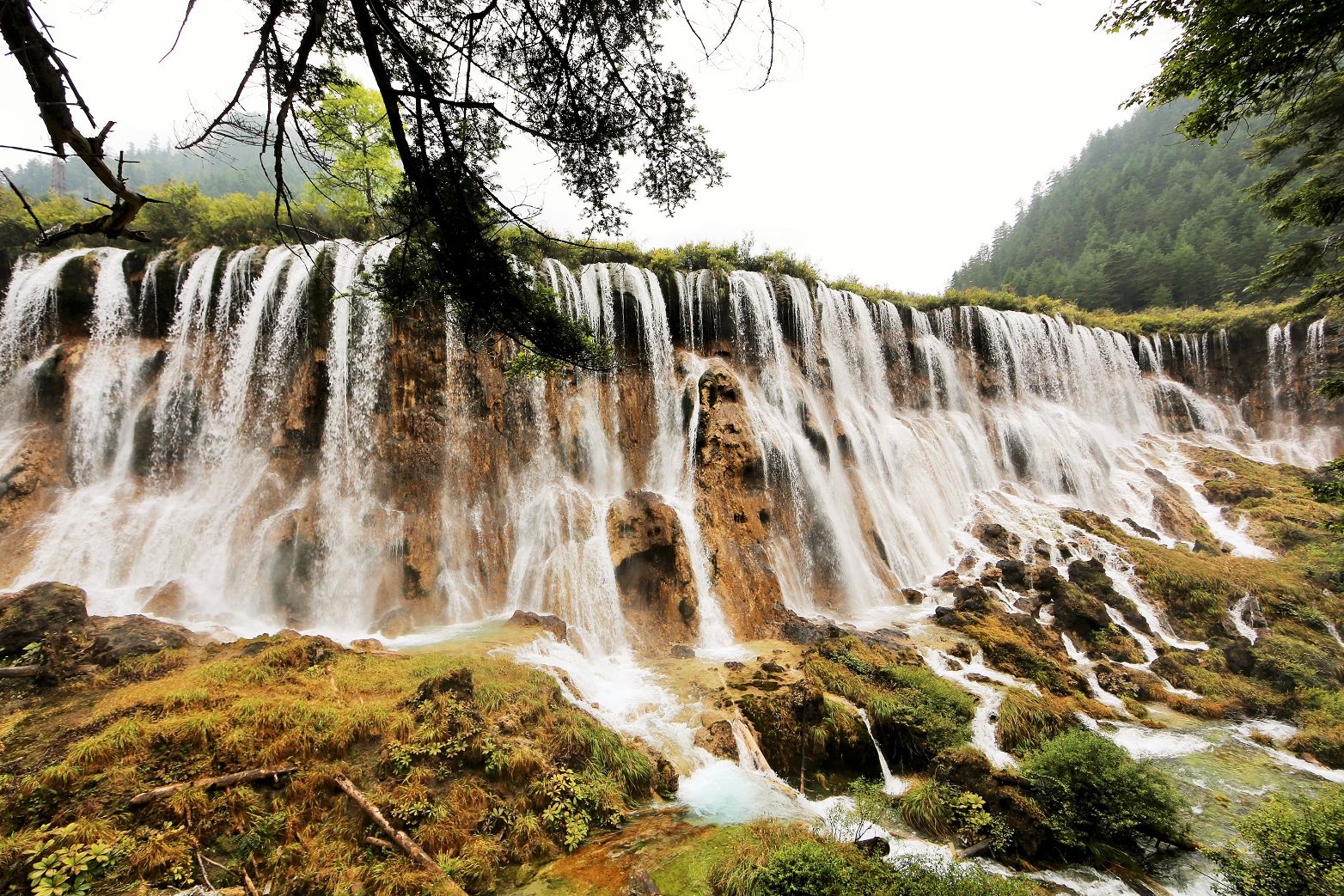 2014-08-21_0947_China_Sichuan_Jiuzhaigou_Nuorilang Falls_@_Web