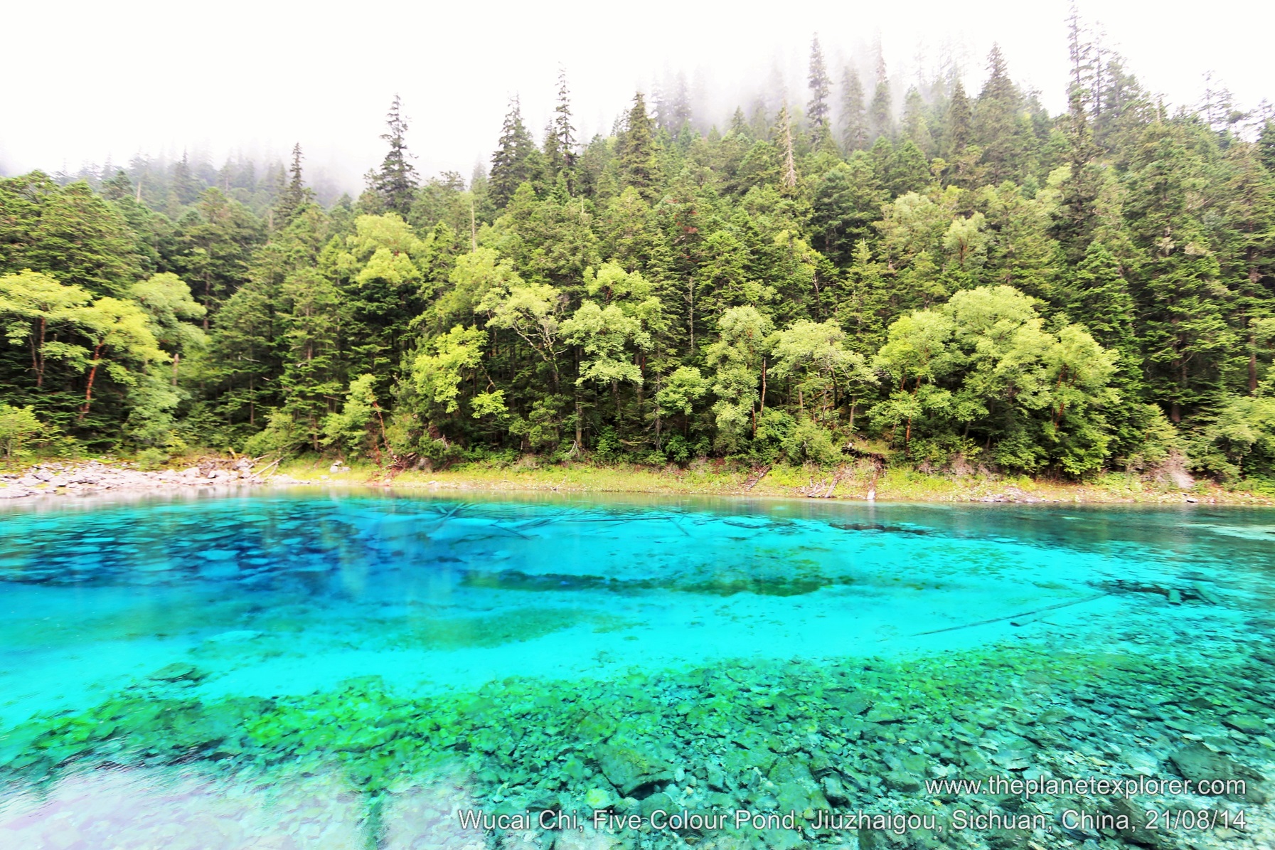 2014-08-21_1141_china_sichuan_jiuzhaigou_five-colour-pond-wucai-chi_lr_nw