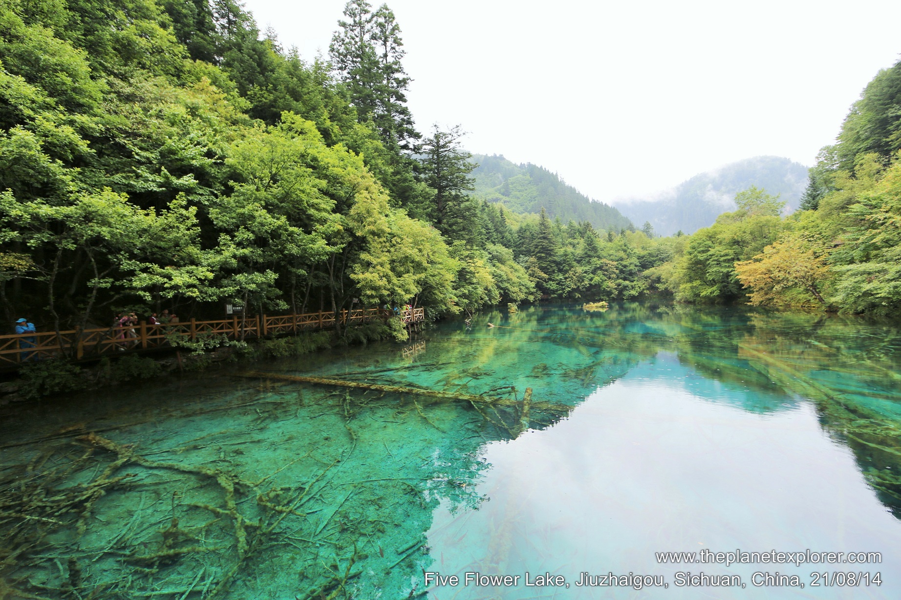 2014-08-21_1449_china_sichuan_jiuzhaigou_five-flower-lake_lr_nw