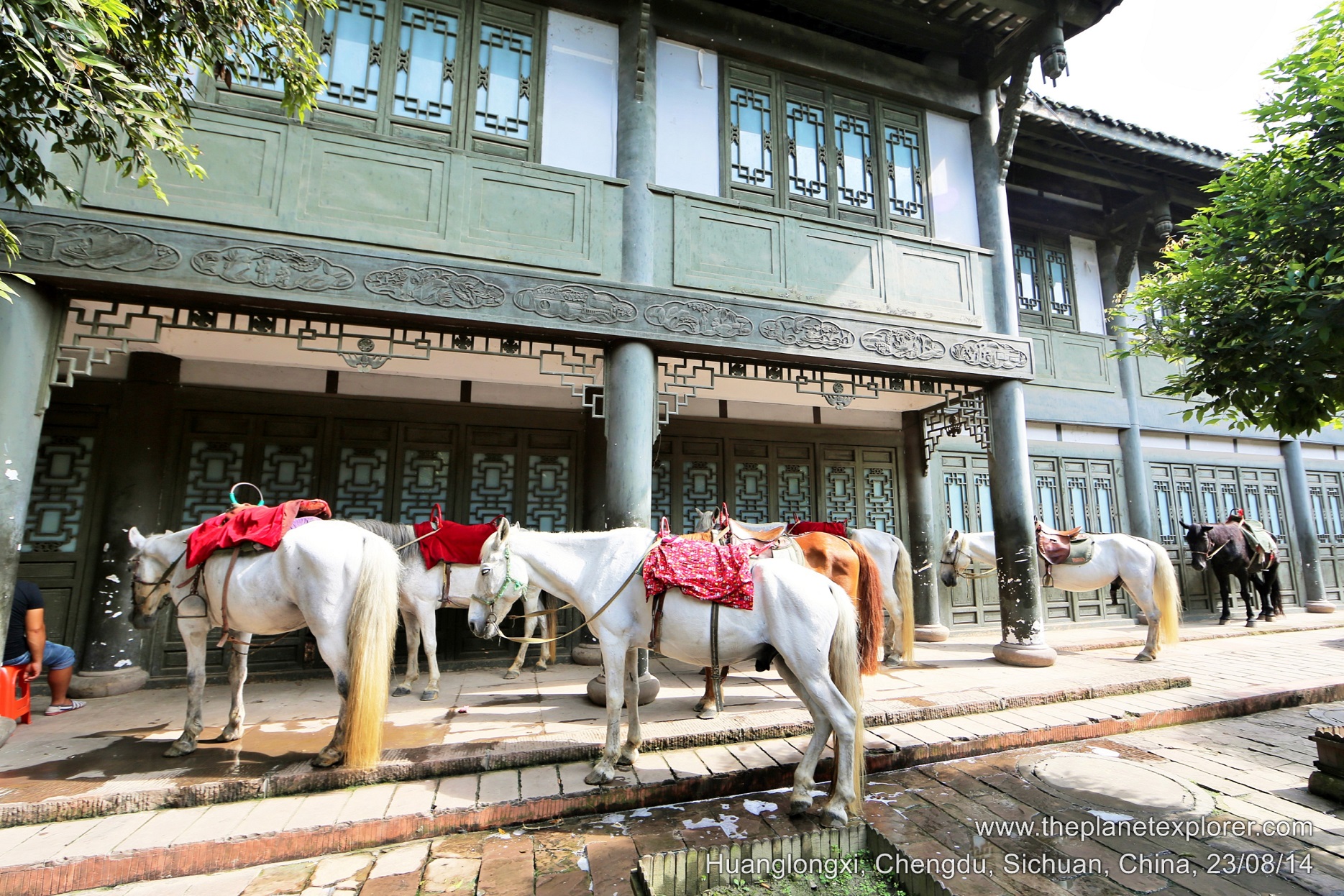 2014-08-23_1558_china_sichuan_chengdu_huanglongxi_horses_lr_nw