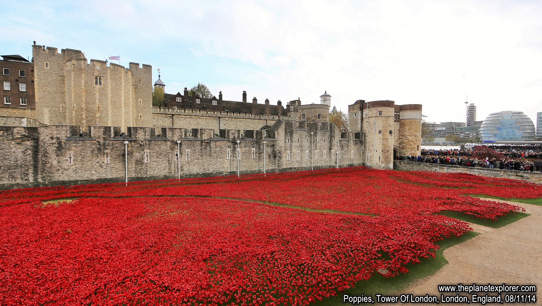 2014-11-08_1340_England_London_Tower Of London_Poppies_Q03A9838_Canon 5DMk 3_LR_@@www