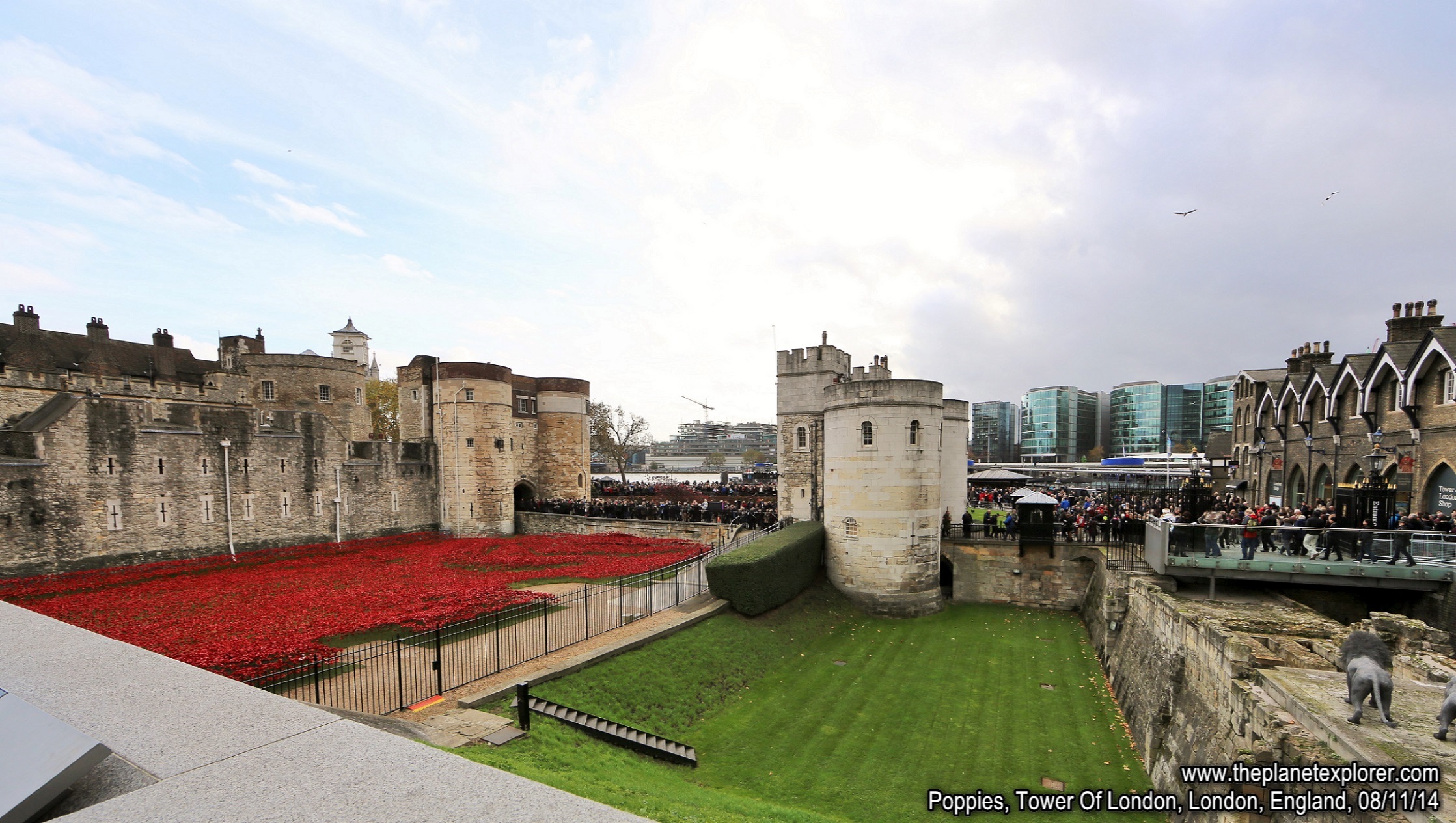 2014-11-08_1342_England_London_Tower Of London_Poppies_Q03A9852_Canon 5DMk 3_LR_@@www