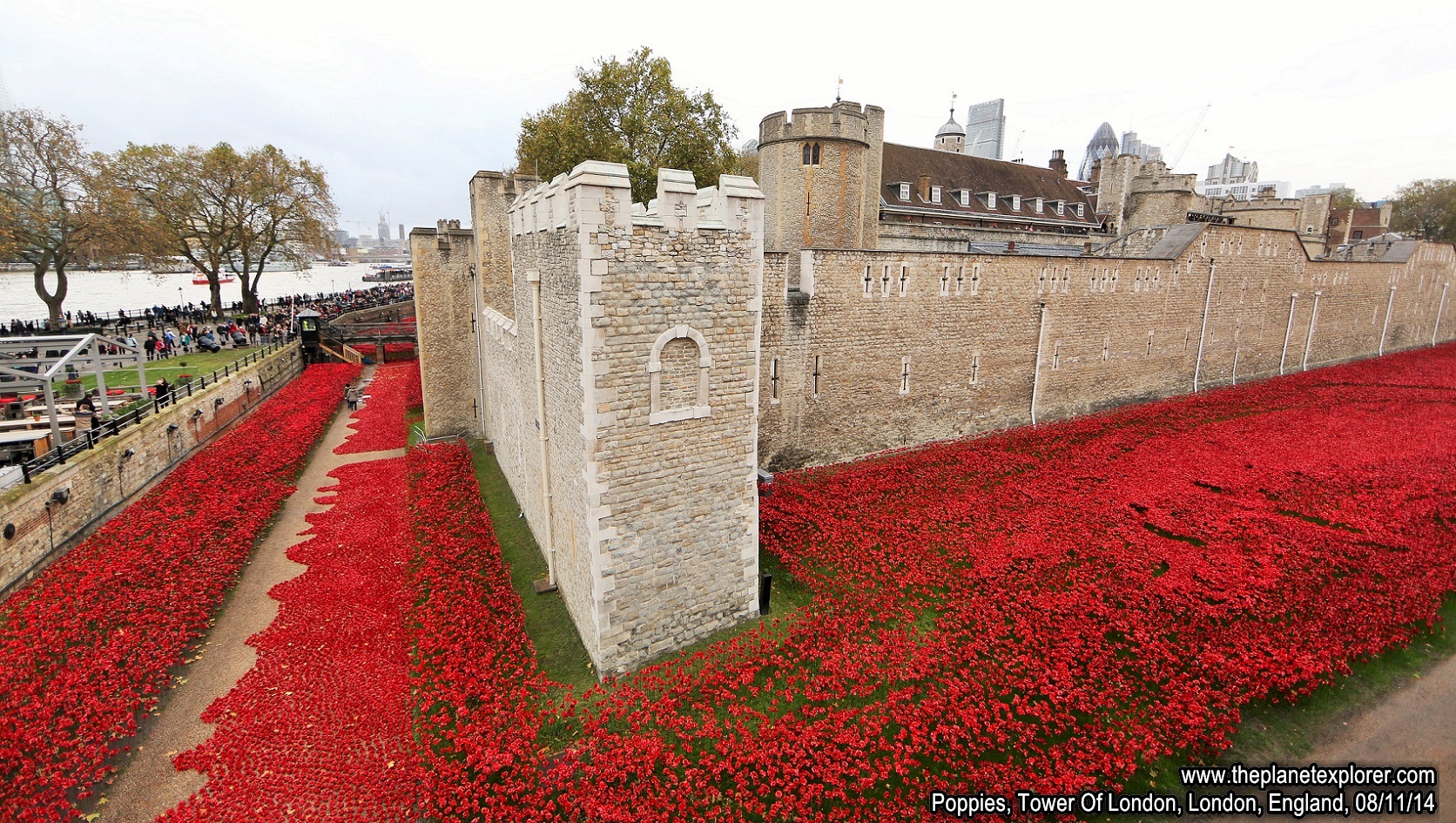 2014-11-08_1343_England_London_Tower Of London_Poppies_Q03A9978_Canon 5DMk 3_LR_@@www