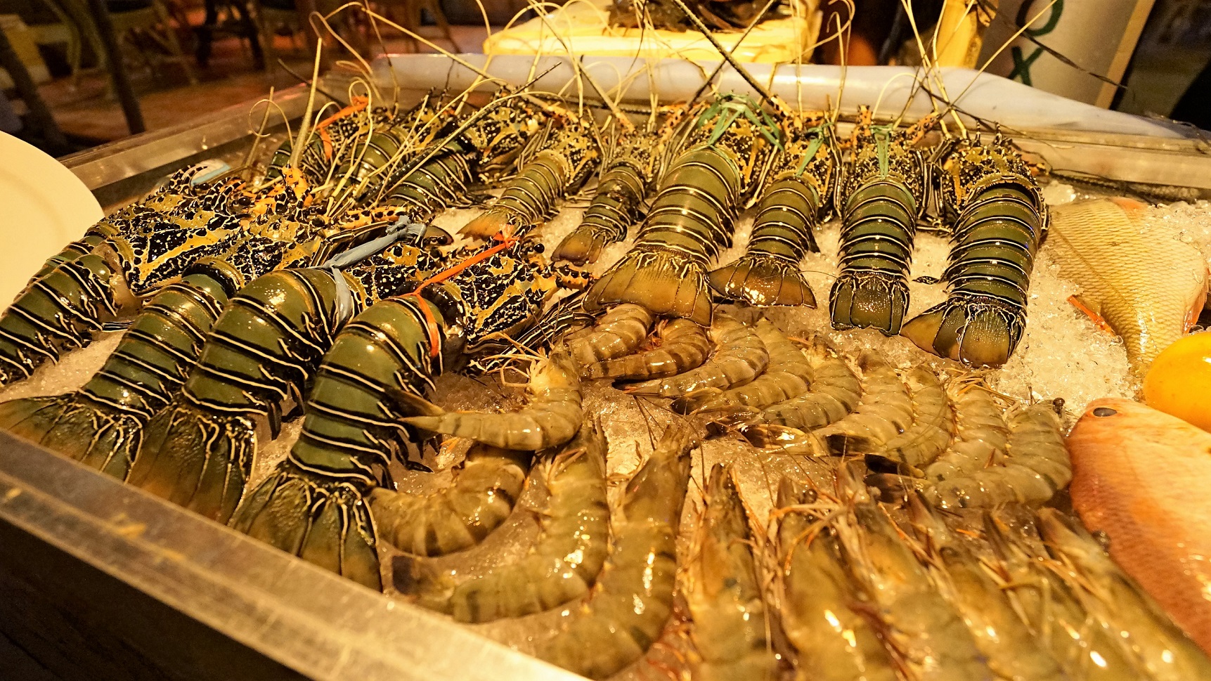 2016-08-30_2029_Philippines_Boracay_Kalinga Bar & Seafood Restaurant_Seafood_DSC08907_LR_@