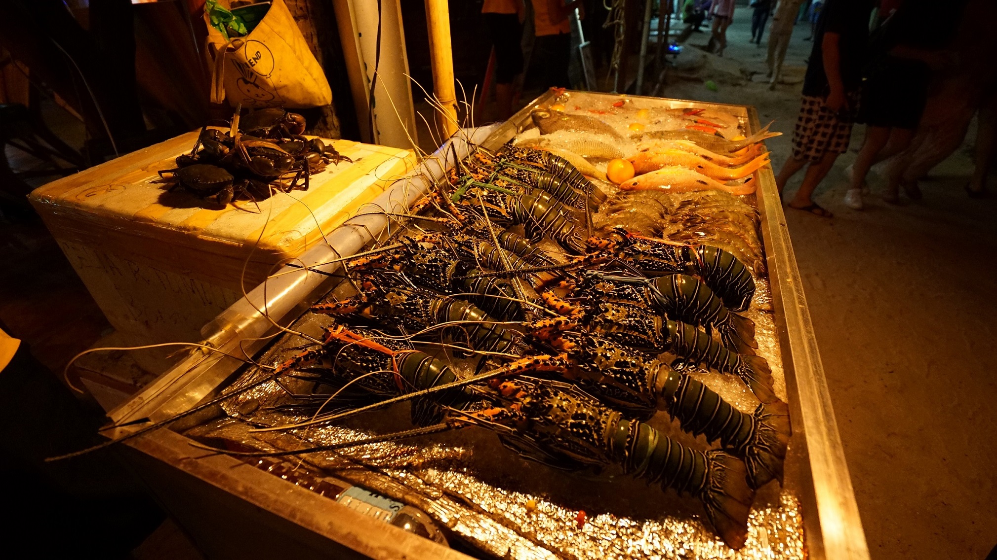 2016-08-30_2032_Philippines_Boracay_Kalinga Bar & Seafood Restaurant_DSC08917_Lobsters_LR_@