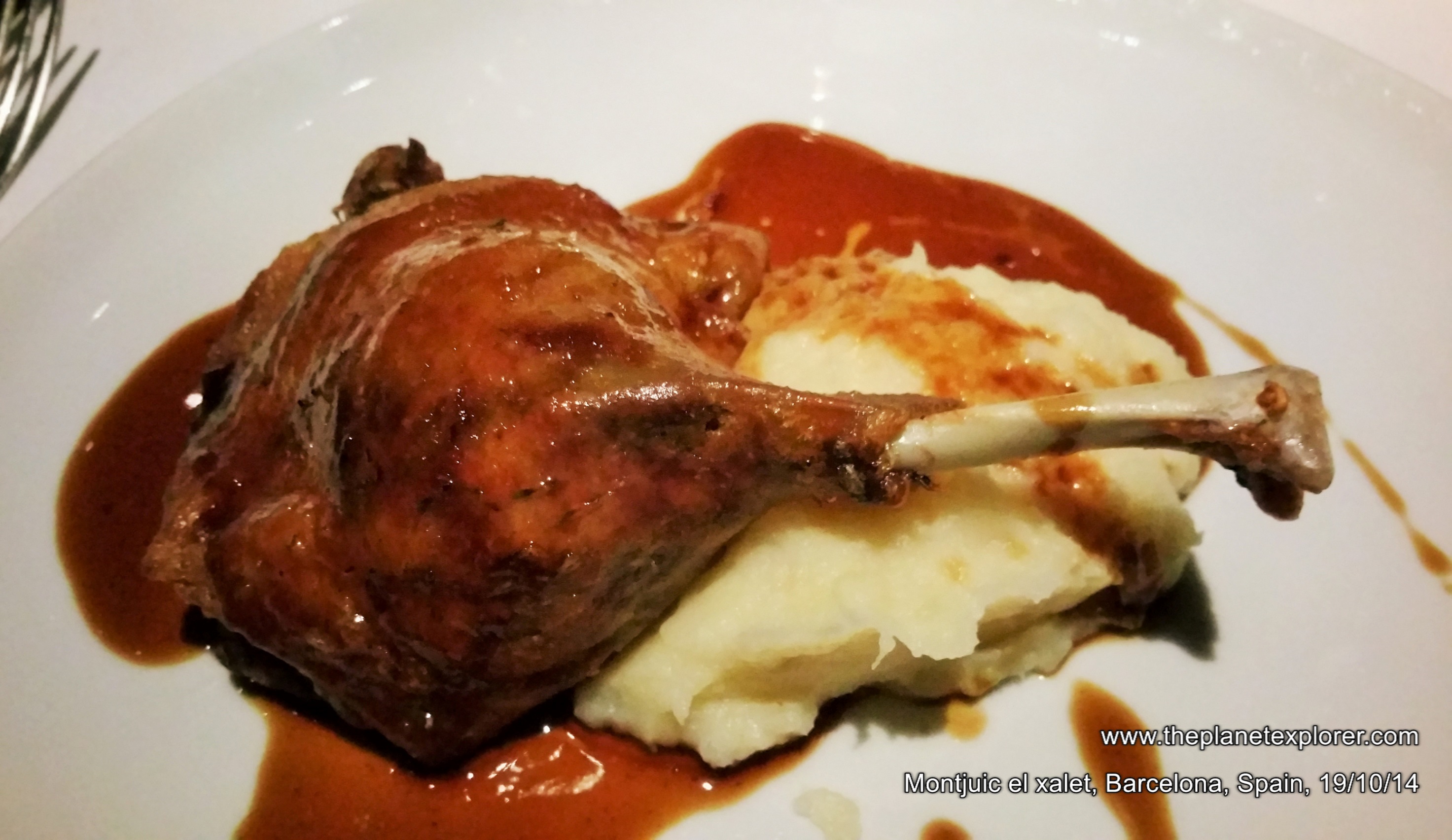 2014-10-19_2031_spain_catalonia_barcelona_montjuic-el-xalet_duck_lr_nw