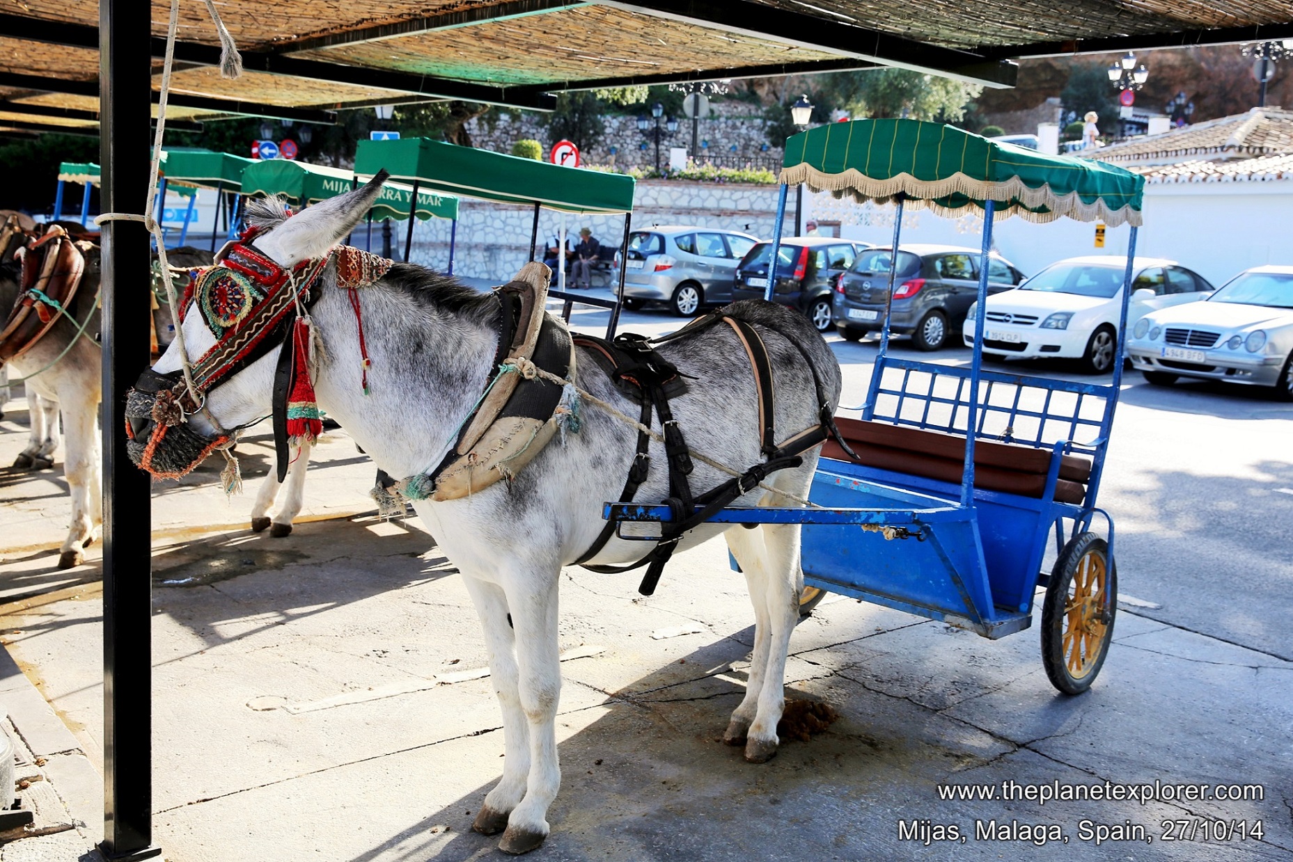 2014-10-27_1557_spain_andalucia_malaga_mijas_donkey_lr_nw