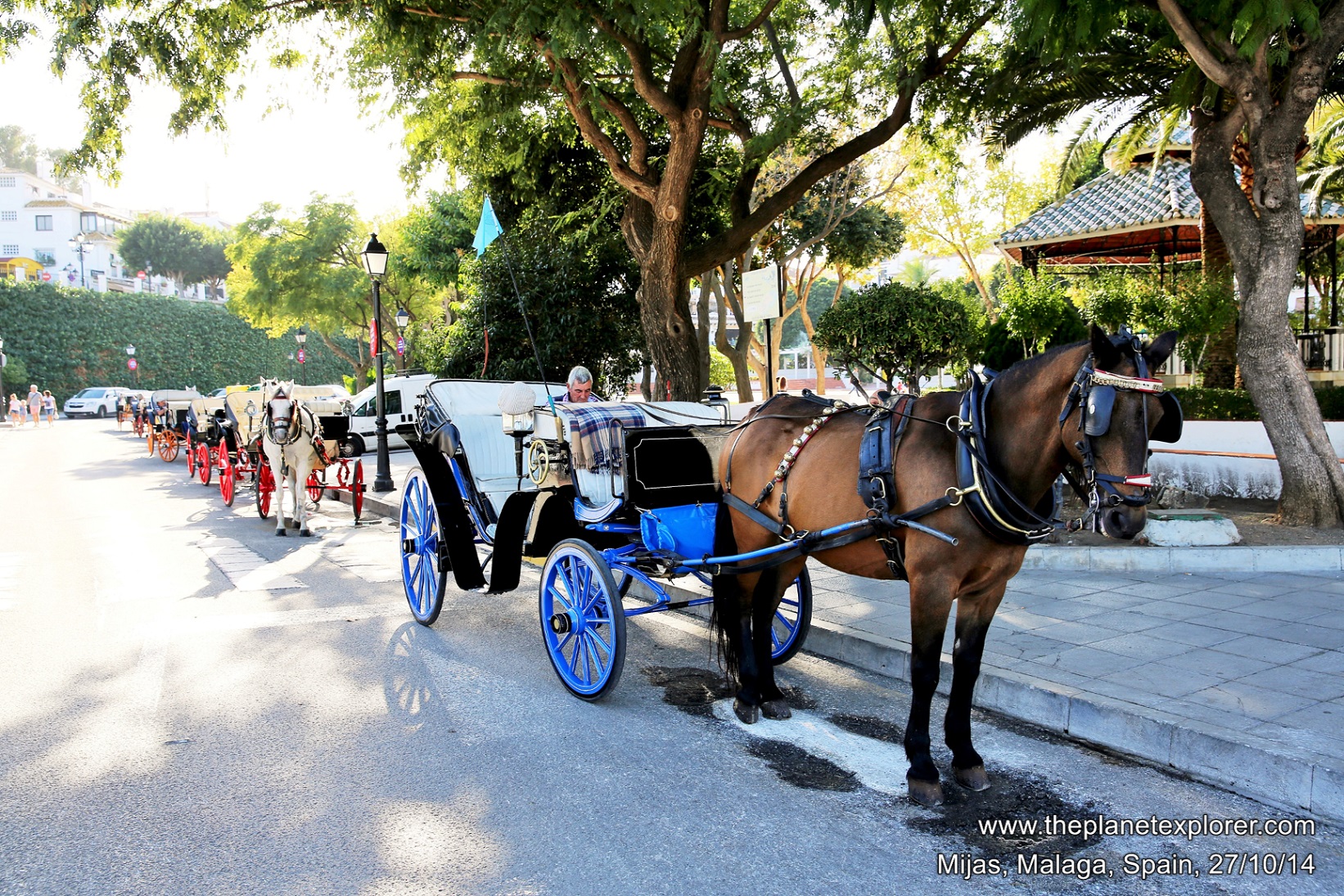 2014-10-27_1601_spain_andalucia_malaga_mijas_horses_lr_nw