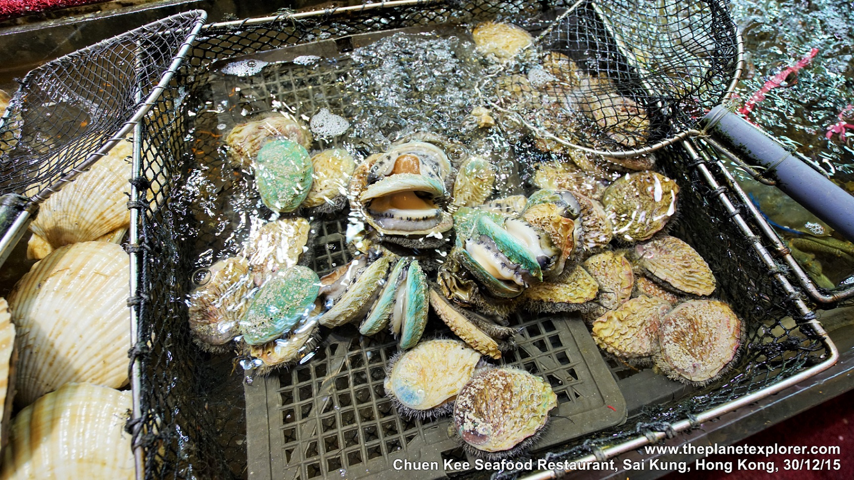 2015-12-30_2026_sai-kung_hk_chuen-kee-seafood-restaurant_abalone_dsc00994_lr_nw