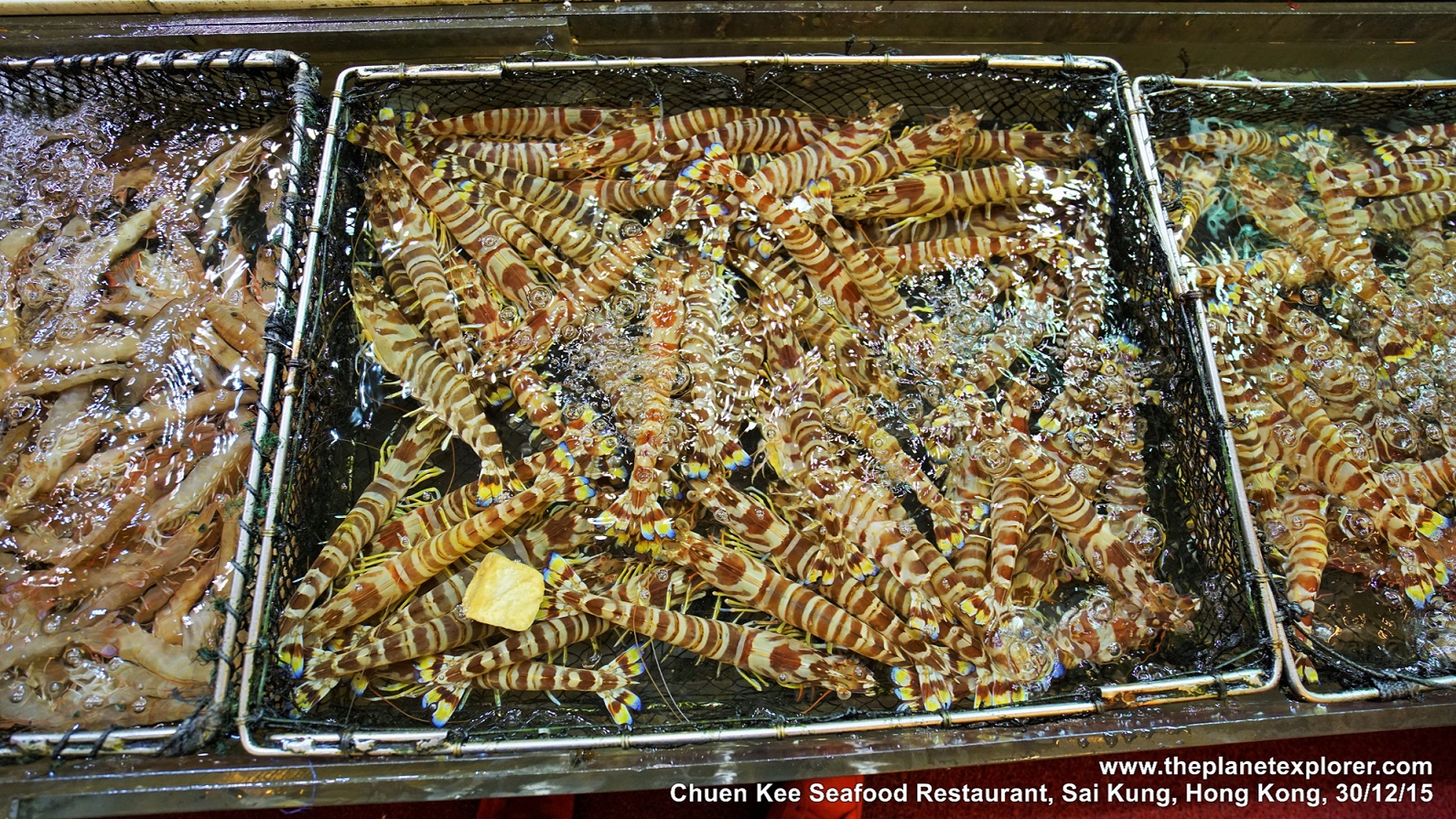 2015-12-30_2026_sai-kung_hk_chuen-kee-seafood-restaurant_prawns_dsc00999_lr_nw