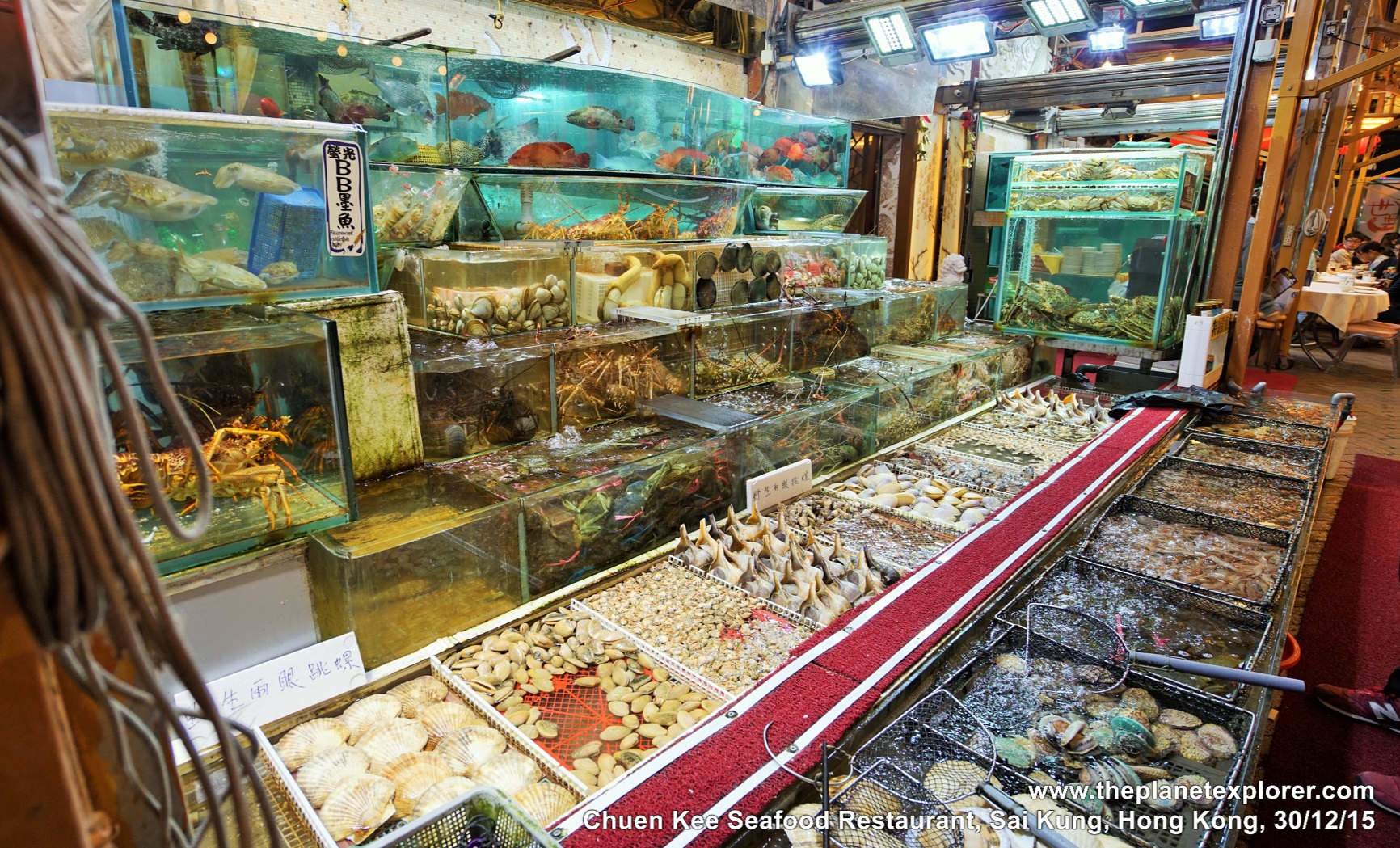 2015-12-30_2026_sai-kung_hk_chuen-kee-seafood-restaurant_seafood_dsc00993_lr_nw