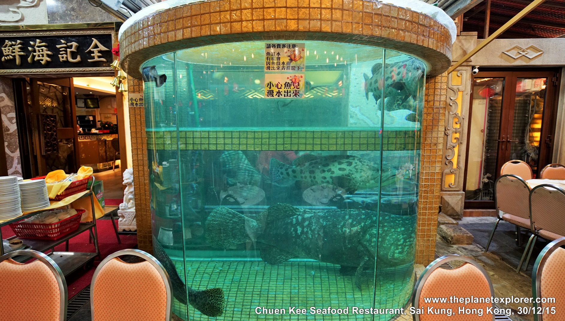 2015-12-30_2032_sai-kung_hk_chuen-kee-seafood-restaurant_fish-tank_dsc01002_lr_nw