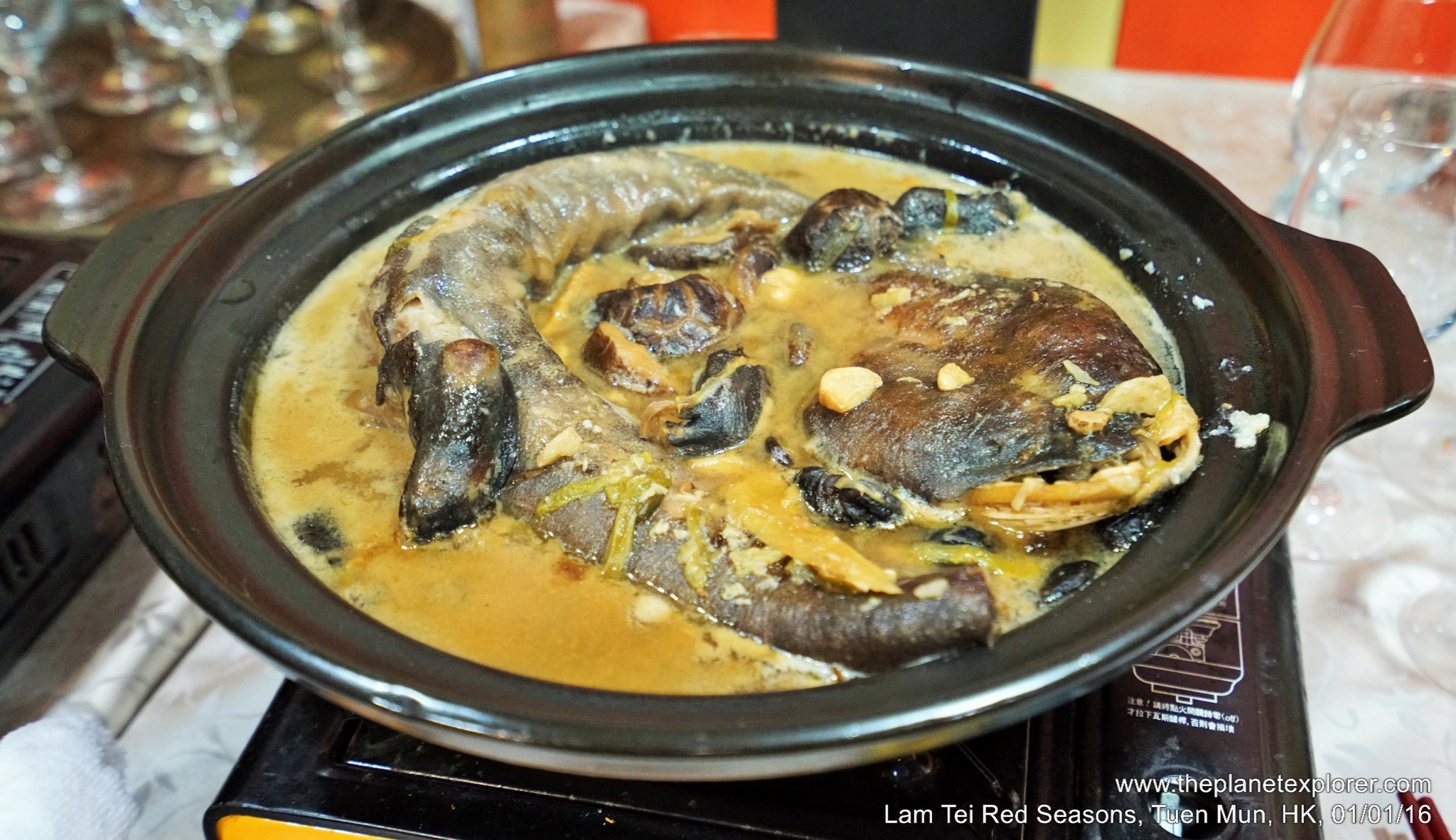 2016-01-01_1733_hk_tuen-mun_lam-tei-red-seasons_chinese-giant-salamander_dsc01901_lr_nw