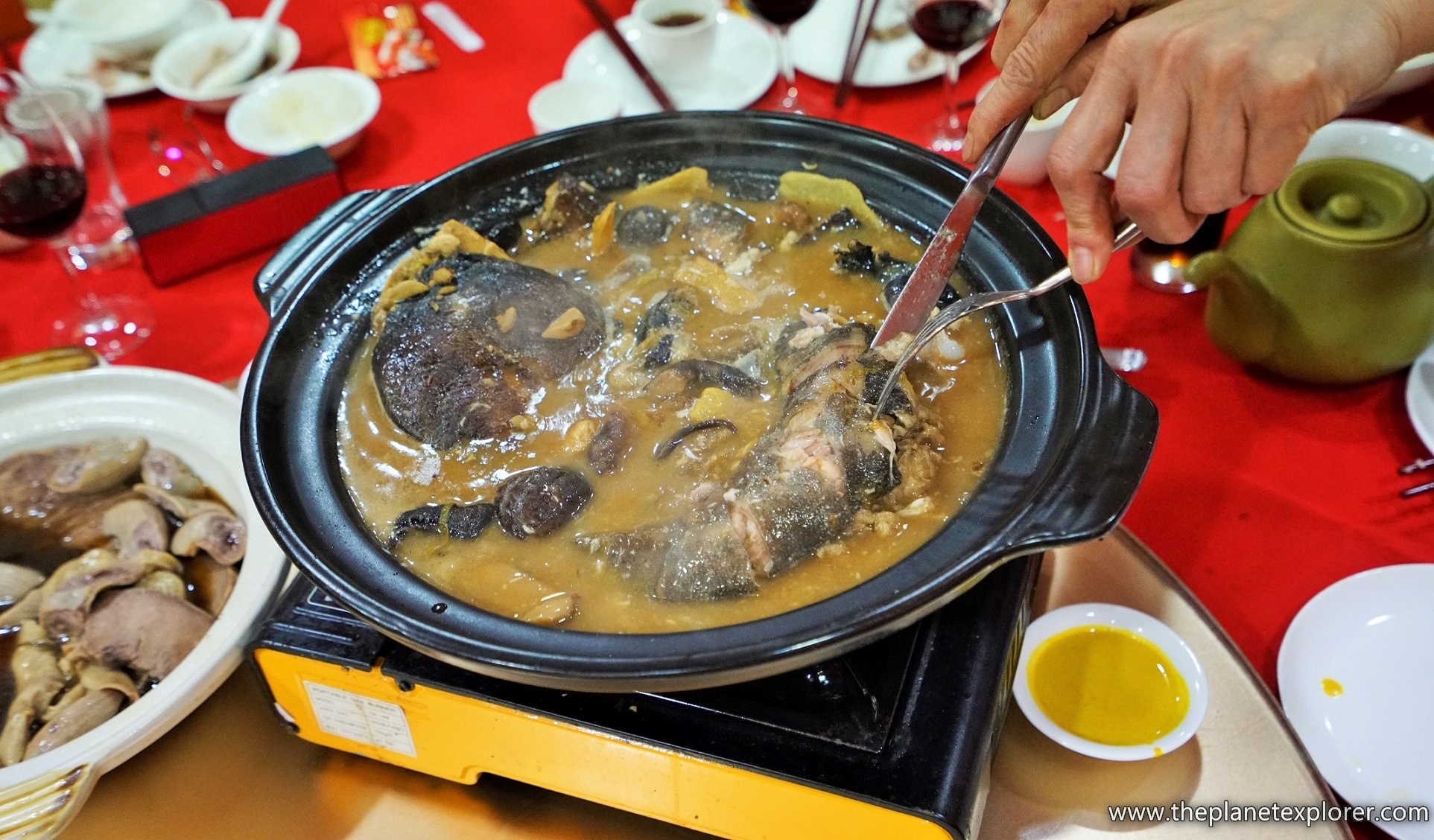 2016-01-01_1807_hk_tuen-mun_lam-tei-red-seasons_chinese-giant-salamander_dsc01978_lr_