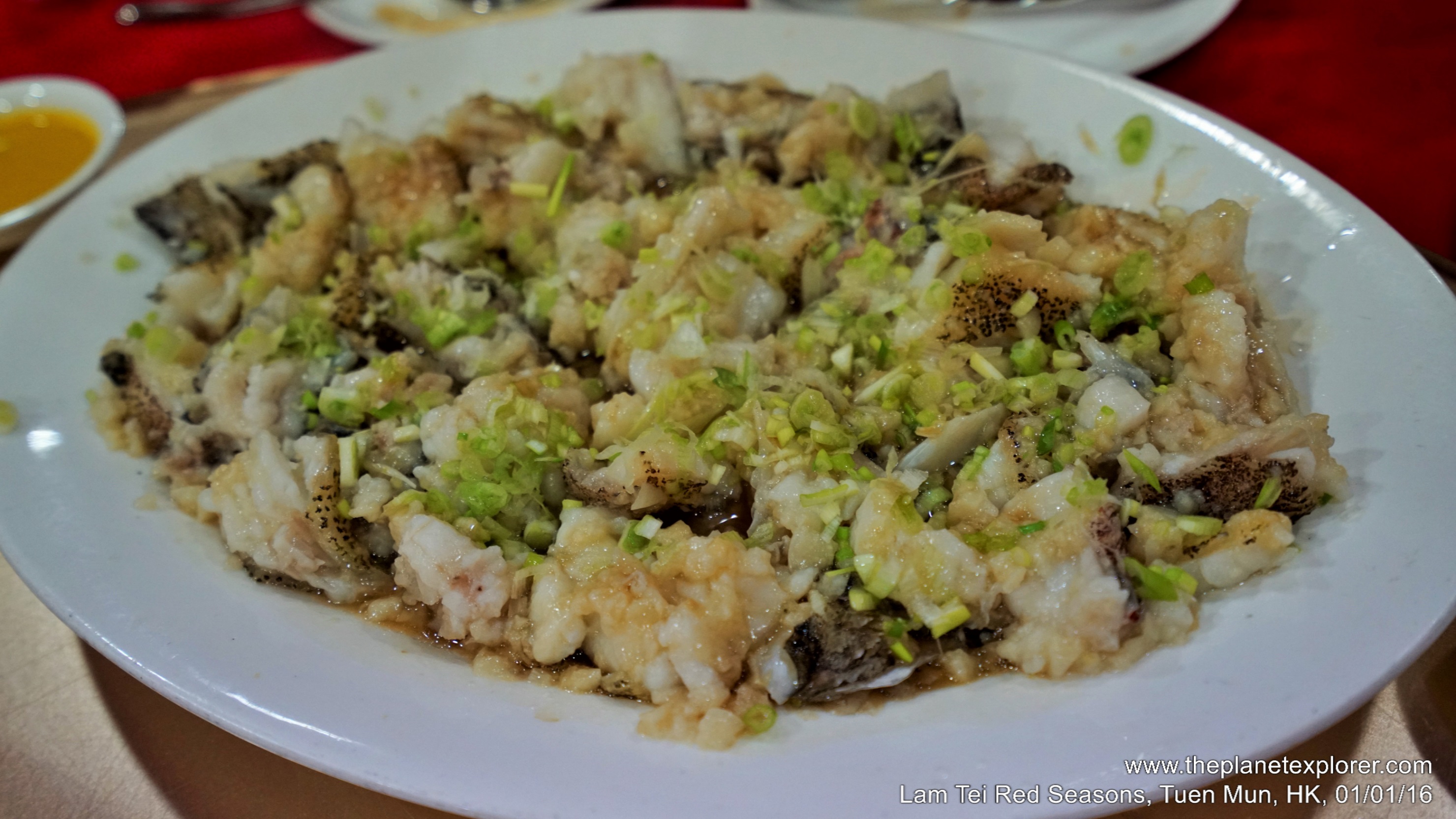 2016-01-01_1854_hk_tuen-mun_lam-tei-red-seasons_garoupa_dsc02000_lr_nw