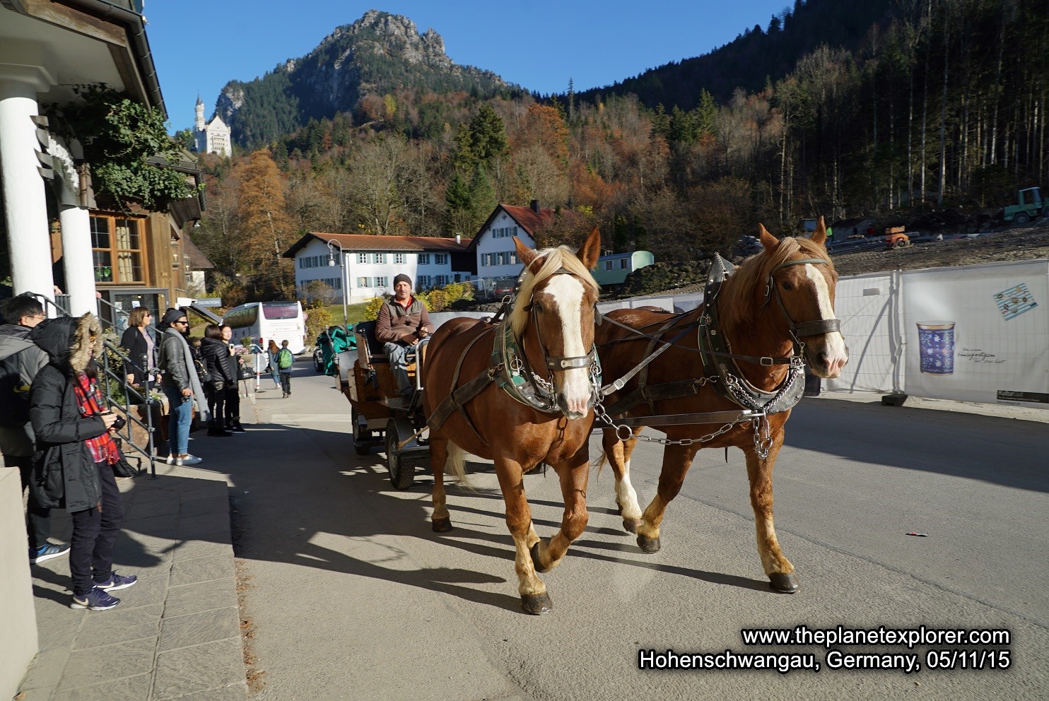 2015-11-05_1407_germany_hohenschwangau_horses_dsc08341_lr_nw