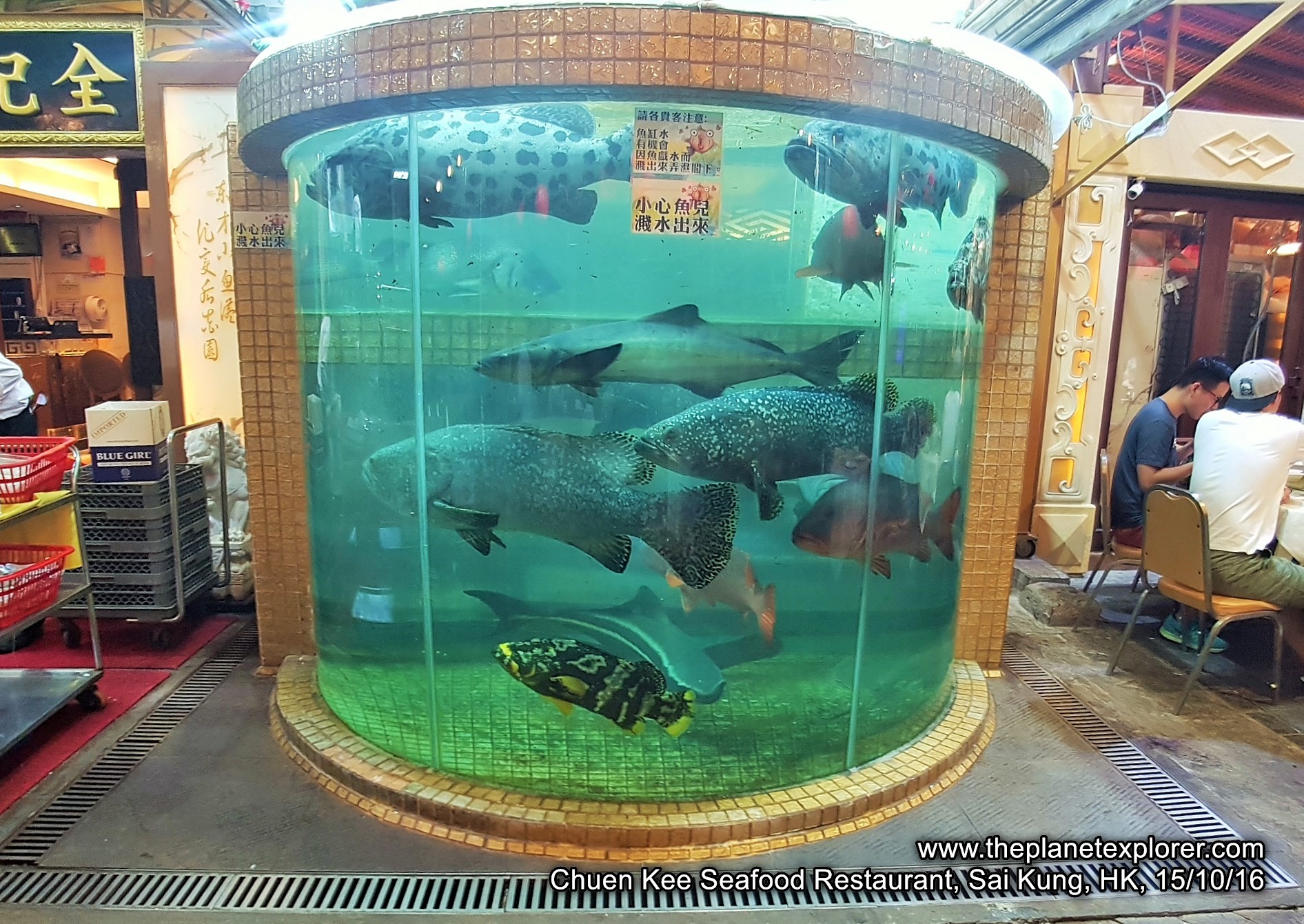 2016-10-15_2142_hk_sai-kung_chuen-kee-seafood-restaurant_fish-tank_sn7_lr_nw