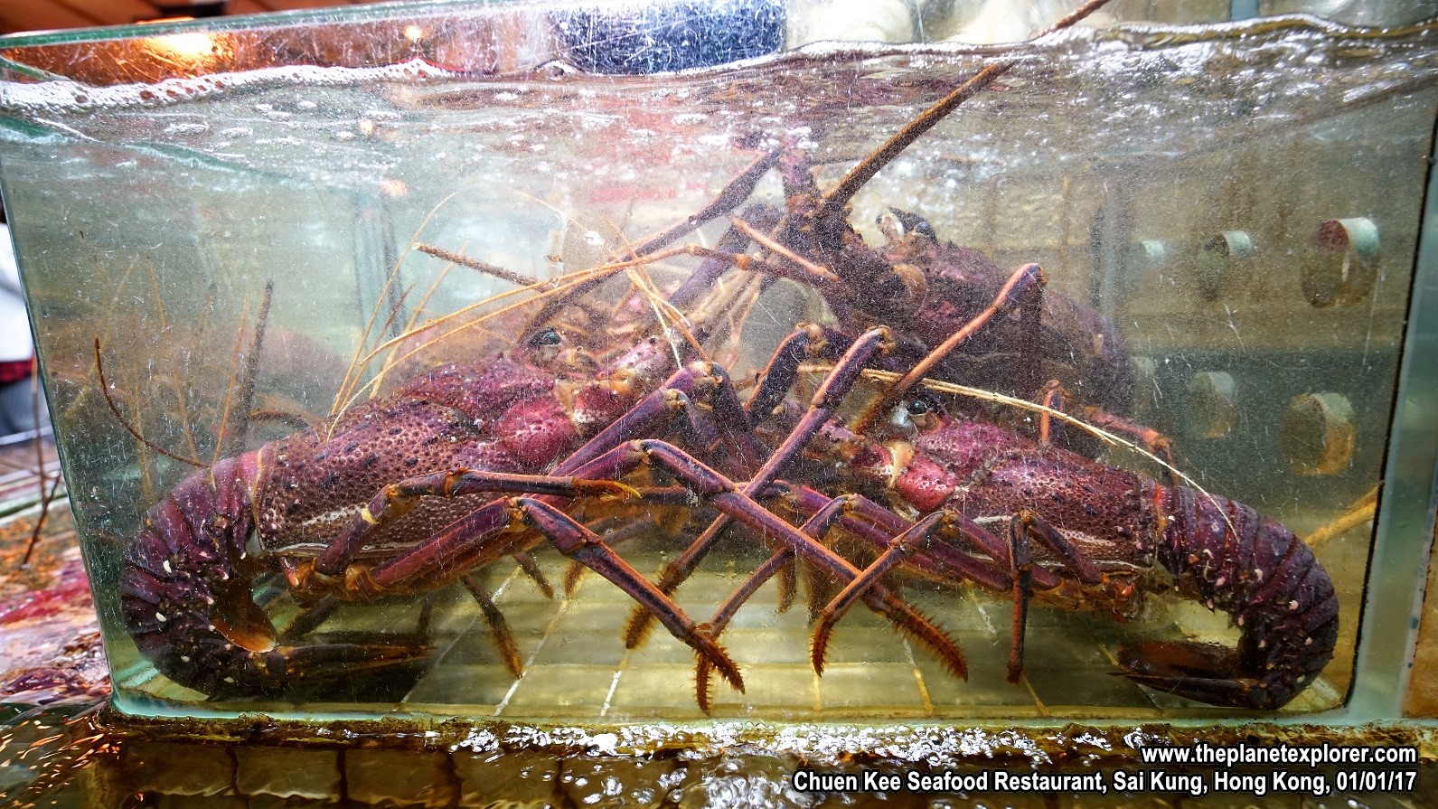 2017-01-01_1859_HK_Sai Kung_Chuen Kee Seafood Restaurant_a7r2_DSC05867_LR_@www