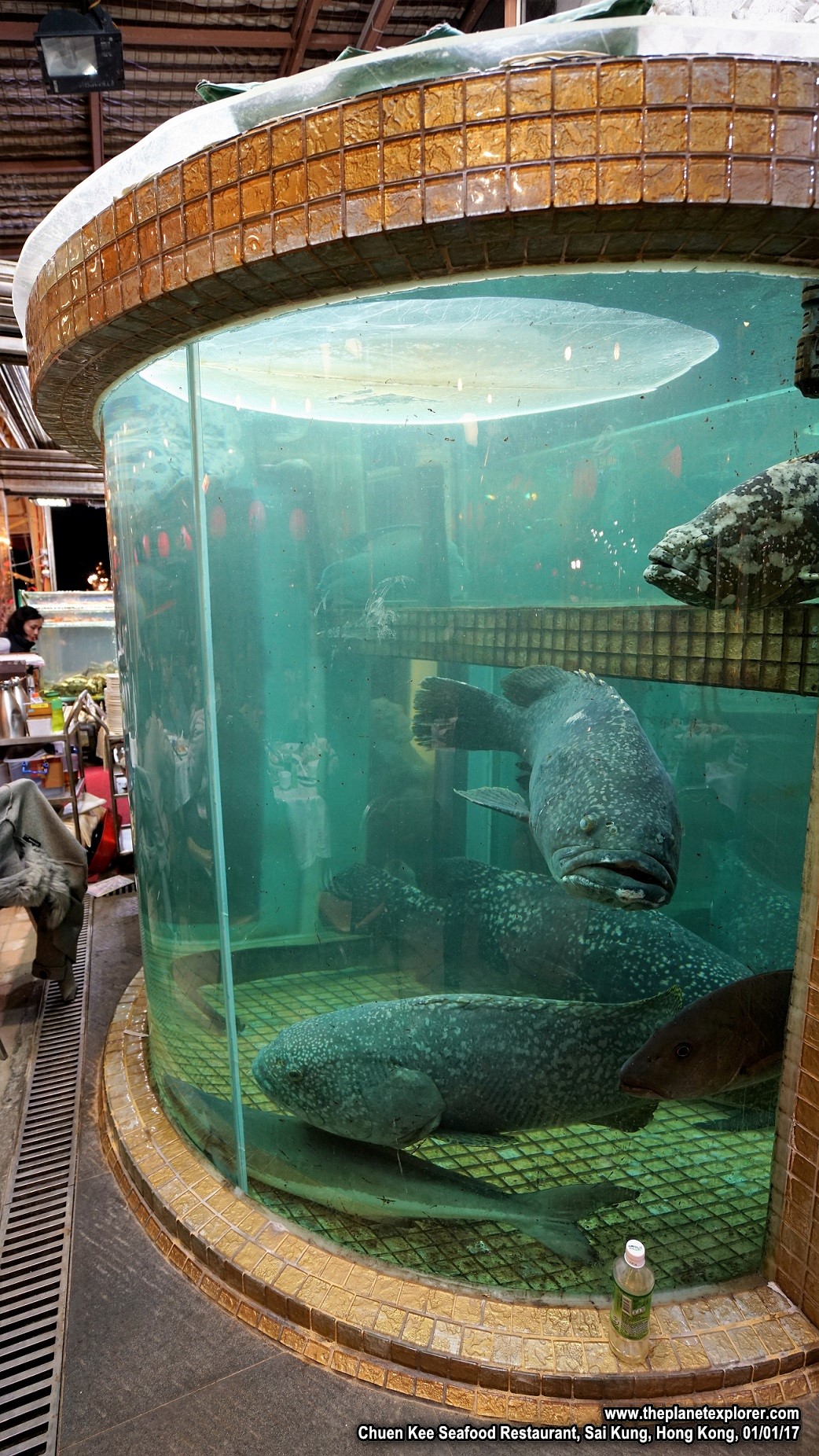 2017-01-01_2036_HK_Sai Kung_Chuen Kee Seafood Restaurant_a7r2_DSC05953_LR_@www