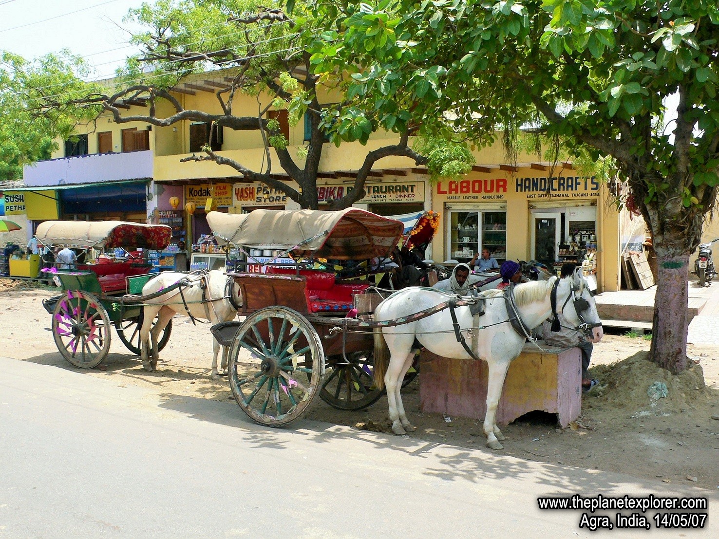 2007-05-14_1310_India_Agra_Horse_LR_@www