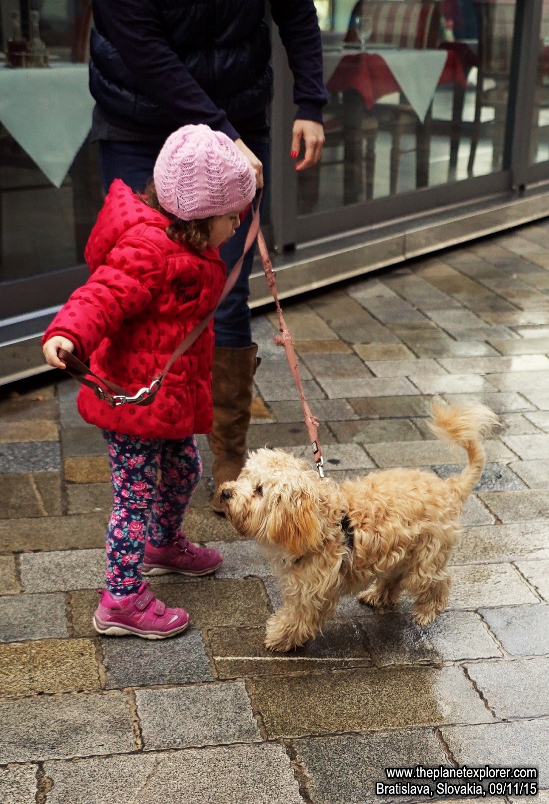 2015-11-09_1300_Slovakia_Bratislava_Kid+Dog_DSC08917_LR_@_((Shirley+Anthony))