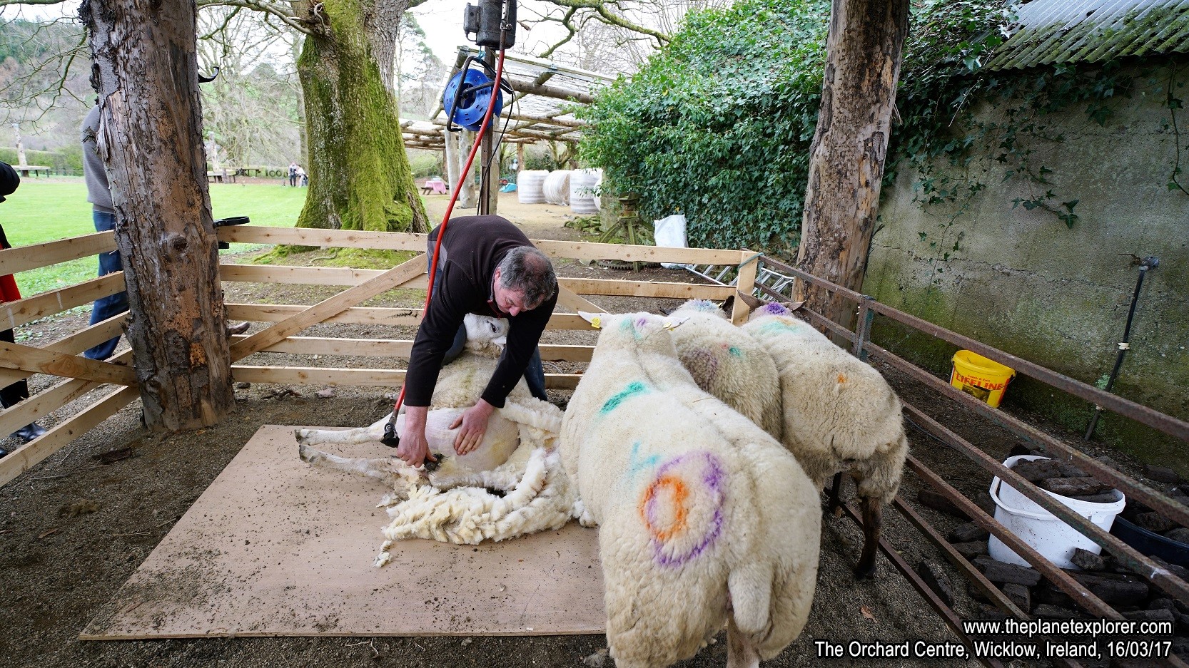 2017-03-16_1112_Ireland_Wicklow_The Orchard Centre_DSC09421_s7R2_LR_@www