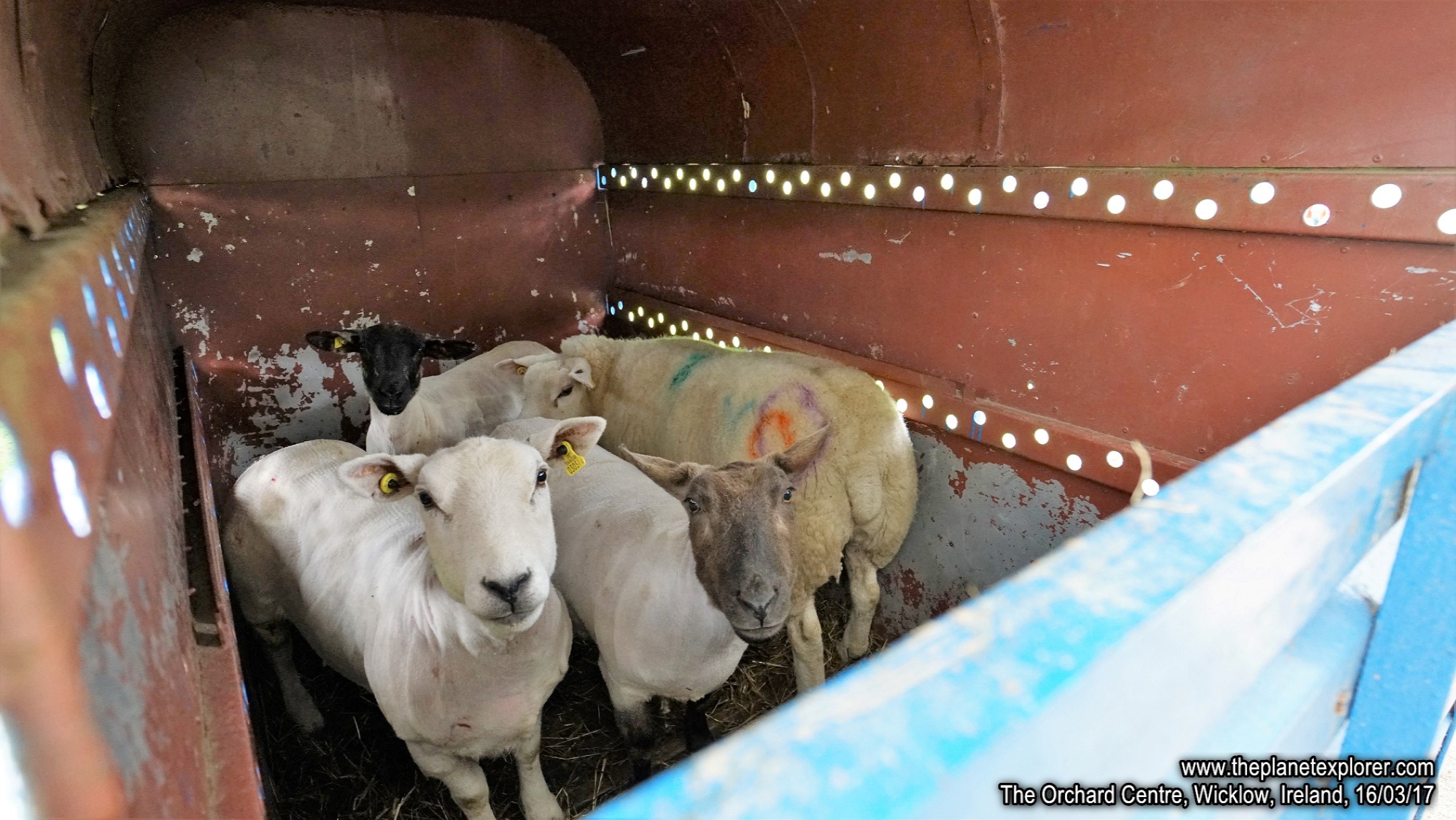 2017-03-16_1211_Ireland_Wicklow_The Orchard Centre_DSC09561_s7R2_LR_@www