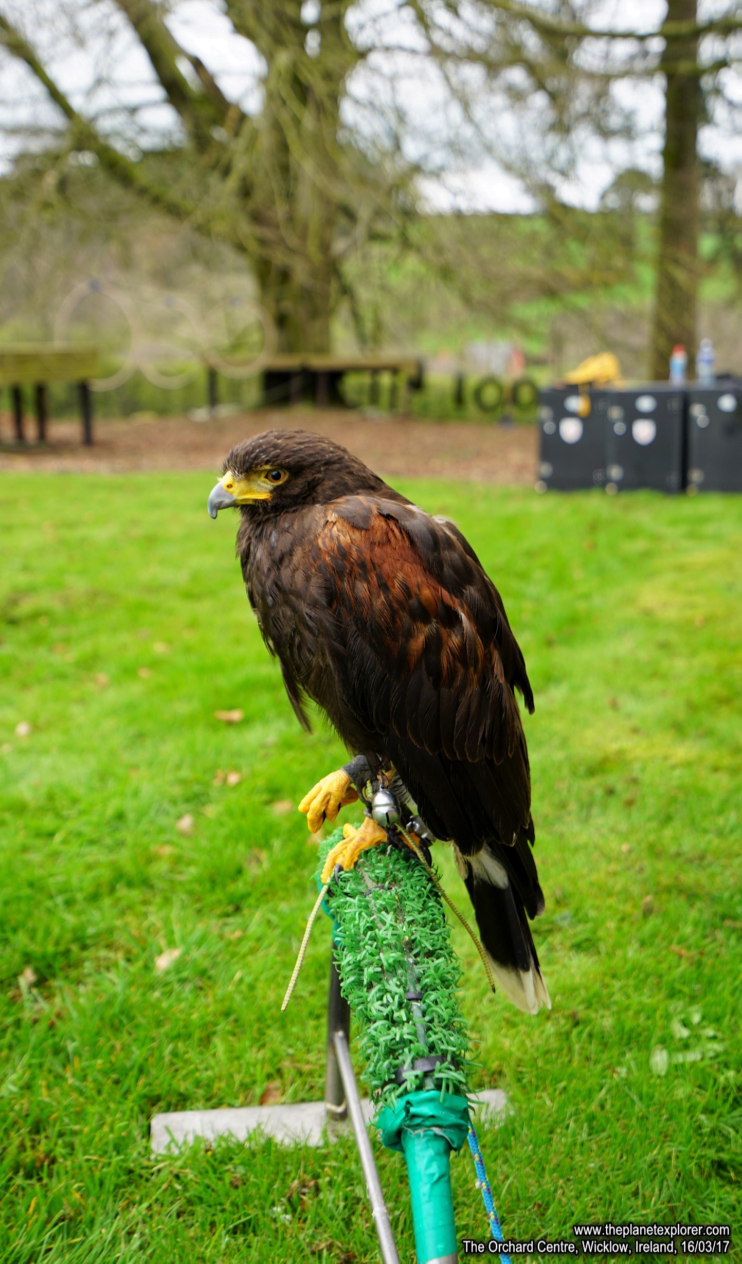 2017-03-16_1212_Ireland_Wicklow_The Orchard Centre_DSC09564_s7R2_LR_@www