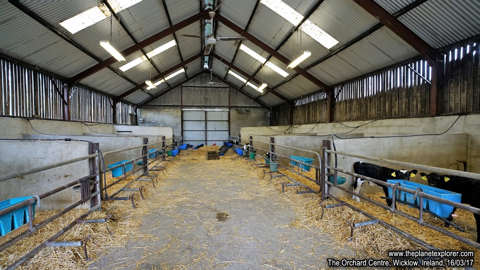 2017-03-16_1218_Ireland_Wicklow_The Orchard Centre_DSC09572_s7R2_LR_@www