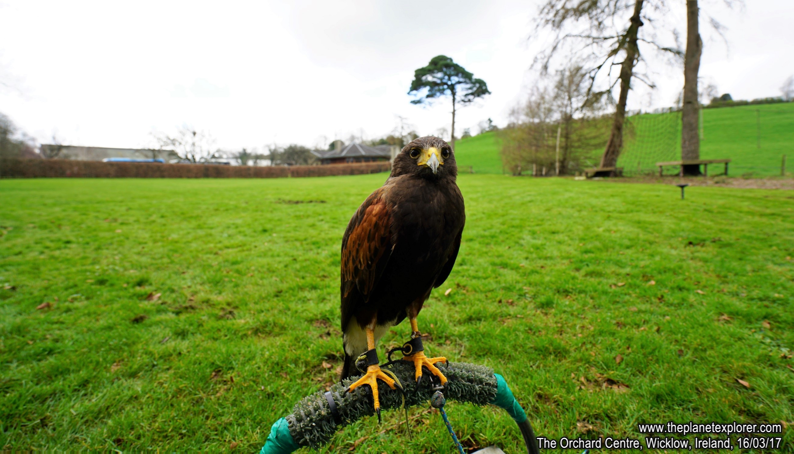 2017-03-16_1240_Ireland_Wicklow_The Orchard Centre_DSC09640_s7R2_LR_@www