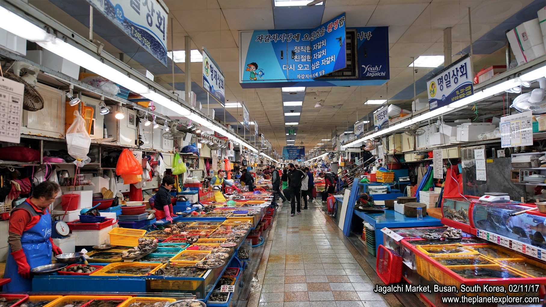 20171102_1834_South Korea_Busan_Jagalchi Market_DSC06994_Sony a7R2_LR_@www