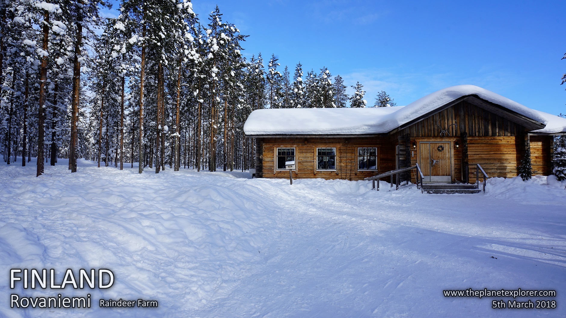20180305_1145_Finland_Rovaniemi_Raindeer Farm_DSC09449_Sony a7R2_LR_@www