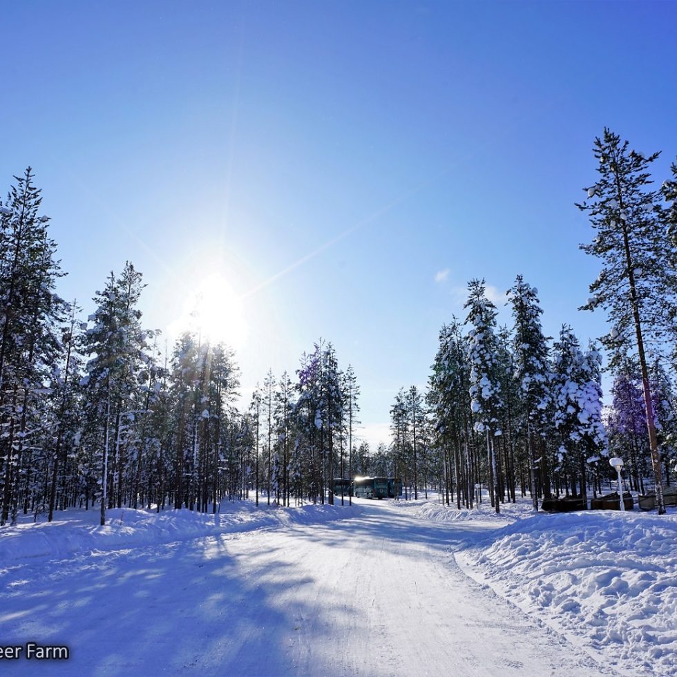 20180305_1321_Finland_Rovaniemi_Raindeer Farm_DSC09489_Sony a7R2_LR_@www